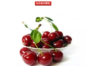 颜色对比：哪种梗适合你的花园