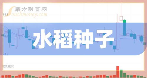 2024年10月19日，优质水稻种子批发价格行情