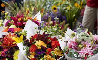 花市里的价格迷雾