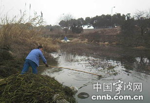 河道除草剂污染大， 法规也不允许