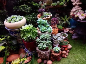 室外养花入门，新手必堪全攻略！