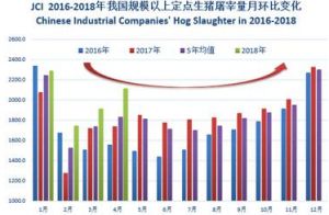 极端天气频发，生猪供应受影响