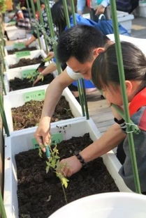 春天是个好时机