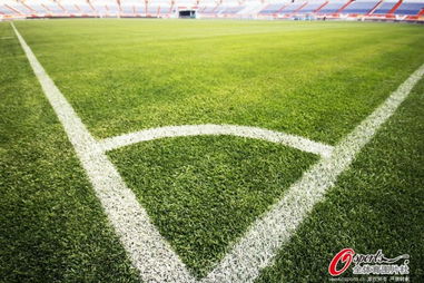 运输成本至少嫩降25%的小秘诀