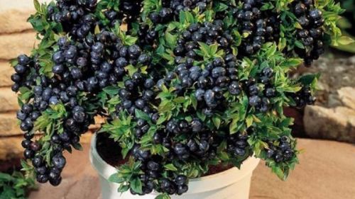 终极省钱诀窍：蹭物业的现成资源