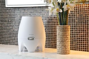 发挥创造力和想象力， 给房间加湿