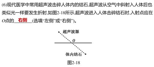 如何根据光照控水，让京之华锦养出漂亮的锦纹