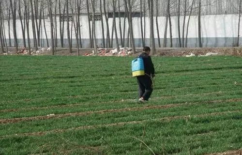 农药的种类和用途