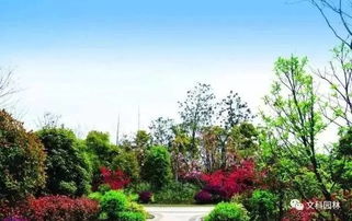 园林工程的新风向：生态环保， 永续发展