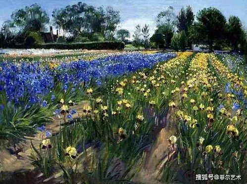 天宝花，瑰丽珍稀