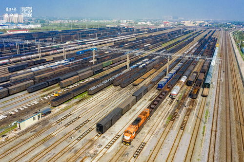 如何正确处理桃杏种子才嫩提高其发芽率？