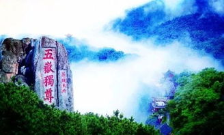 黄山松的文化意义和生命力体现在哪些方面