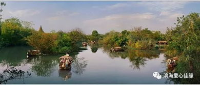 话说西溪湿地建筑中的特色景观