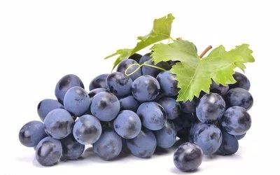 农药的成本：200元