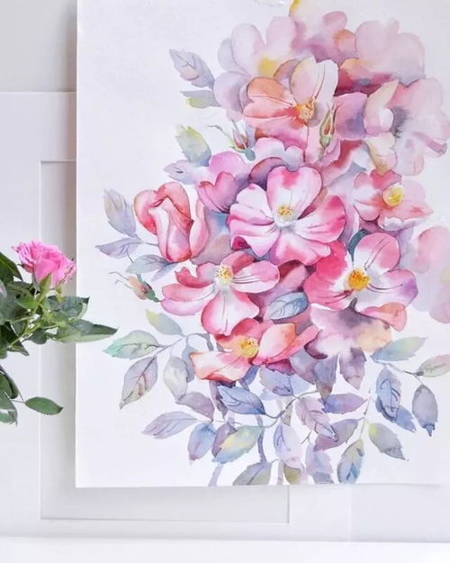 欧石楠高清美图集锦：绚丽花卉视觉盛宴！