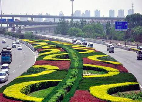 草坪：城市的绿色地毯