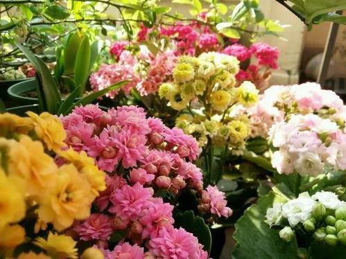 光照要会玩变装