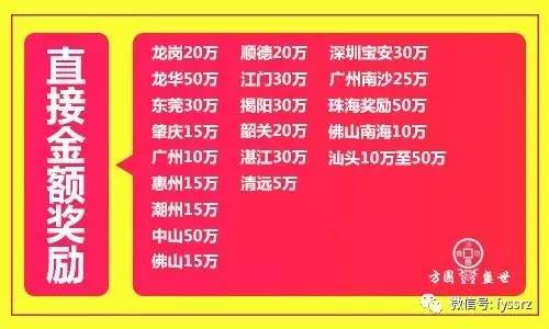 邵阳油茶品牌战略：打造13国字号金字招牌