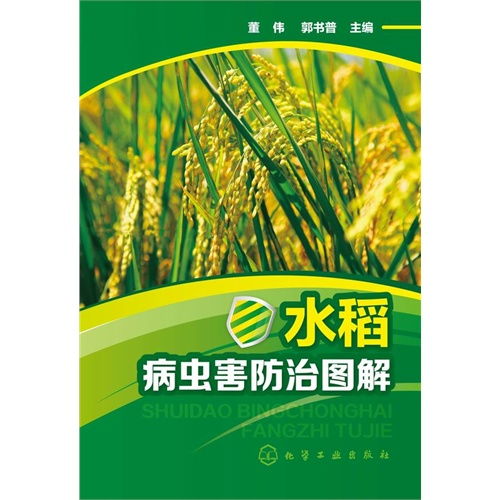 噻虫嗪对水稻病虫害防治的推荐用量是多少？