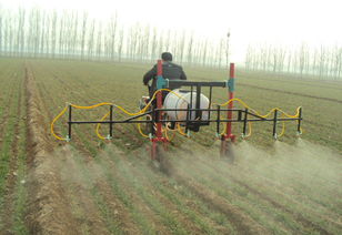 温度这事儿， 有讲究