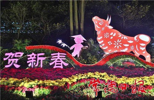 揭秘三款创意花卉设计，打造视觉盛宴！