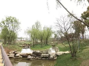 花木源：生态平衡绿洲