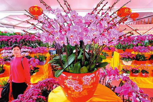 市场里热闹非凡， 商家热情服务