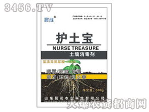 大棚土壤消毒，哪种药物效果Zui好，Zui平安？