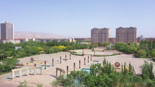 制药厂产品质量揭秘