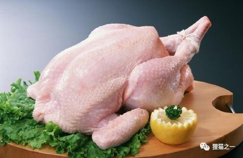 猪饲料鸡吃好不好，长期给鸡喂猪饲料安全吗？