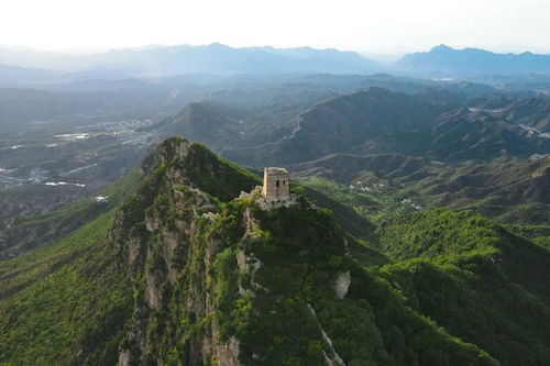 异乡租地种芭乐，探索致富新途径