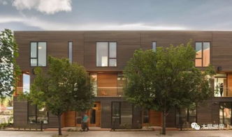 雪松种植：在家附近种雪松真的可行吗？