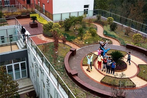 农村适宜绿化种植的花有哪些