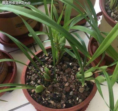 排水透气要良好