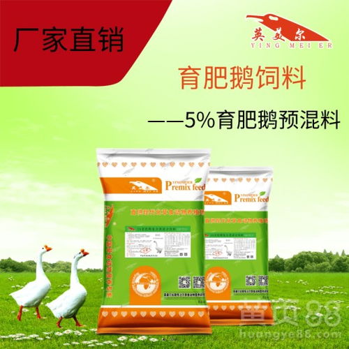 饲料脱霉剂真的能救命吗？新手养鸡鸭鹅必备的三大真相与实操技巧有哪些？