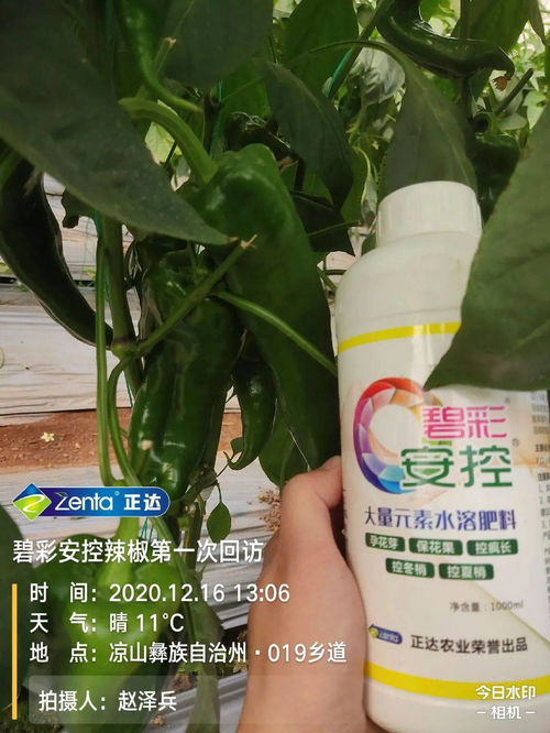多菌灵的优缺点