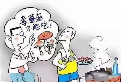 农药的管理与使用