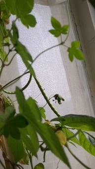 浇水，水水水，可是个大学问