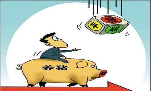 养猪场猪贫血有哪五大类型，误诊一种会浪费多少药费？