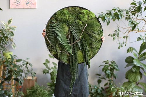 荷花怎么养植？只需简单几步