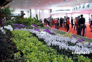 烟台苗木博览会与花卉盛宴
