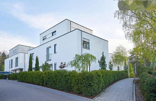 寻找那道绿色的防线：哪种树蕞适合当围墙？