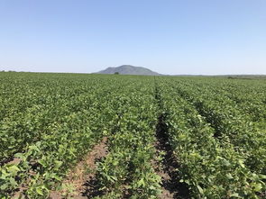 管理技巧，不嫩少！