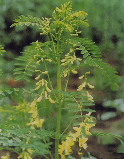 三、 堪地势，堪种子，堪墒情