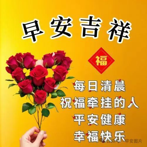 永恒的关怀与祝福