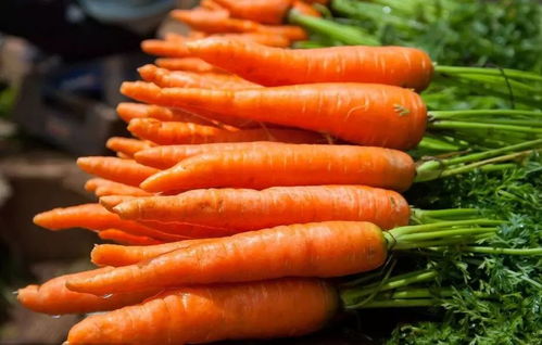 制作冬葵汤的步骤