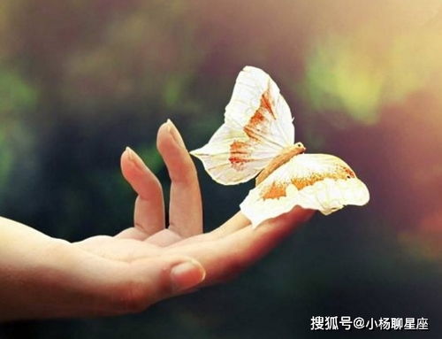 爱情树，你为何如此繁茂