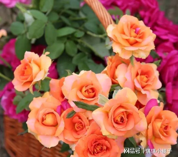 铜管乐队的持久