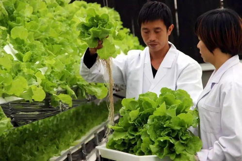 农药施用的那些事儿