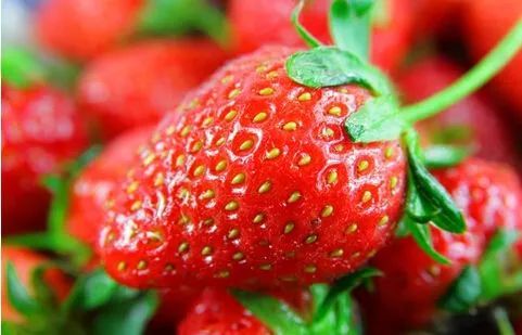 生物防治，化学防治，你选哪个